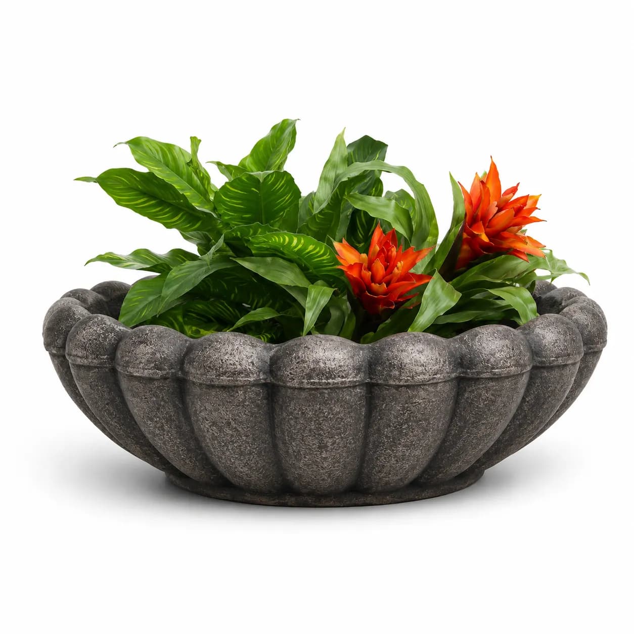 ROTO Margerita Planter